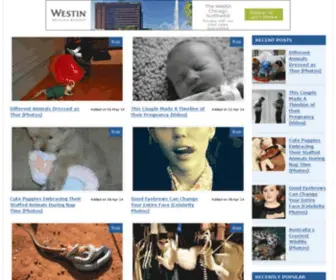 Dailykimchi.com(Great domain names provide SEO) Screenshot