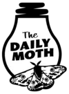 Dailymoth.com Logo