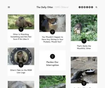 Dailyotter.org(The Daily Otter) Screenshot