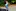 Daintreewildernesslodge.com.au Favicon