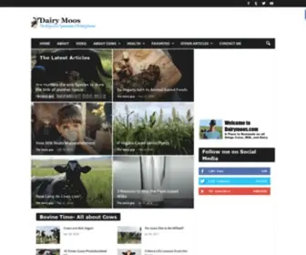 Dairymoos.com(Dairy Moos) Screenshot