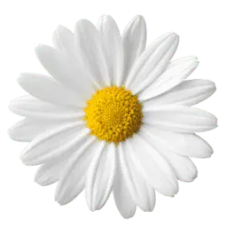 Daisi.id Favicon