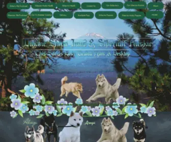 Dakineshibainus.com(Dakine Siberian Huskies and Shiba Inu's Oregon) Screenshot