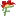 Dalat.flowers Favicon