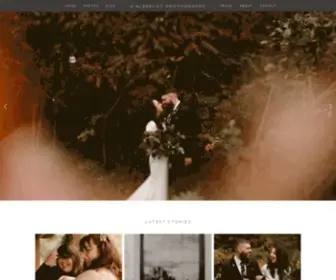 Dalbrechtphotography.com(D.Albrecht Photography Minneapolis Lifestyle Senior and Wedding Photographer) Screenshot