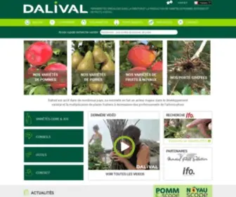 Dalival.com(Leader) Screenshot