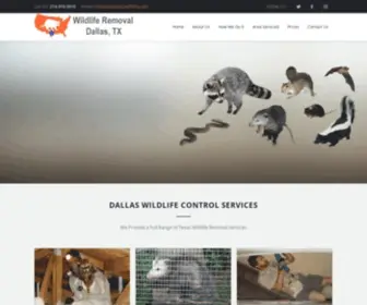 Dallaspestwildlife.com(Dallas Wildlife Removal and Trapping) Screenshot