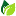 Dallastrees.com Favicon