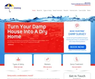 Damp-Solutions.com(Dry Solutions) Screenshot