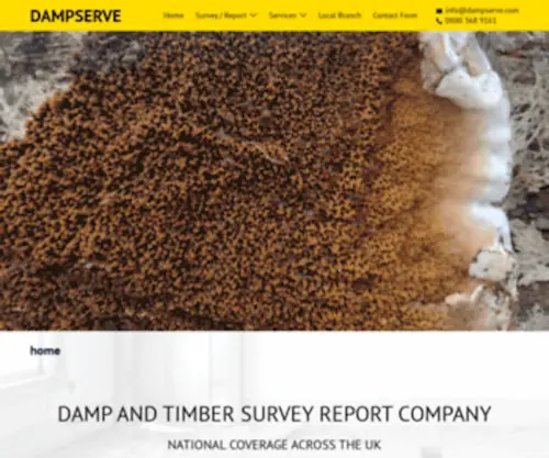 Dampserve.com(Damp & Timber Survey ReportsYears) Screenshot