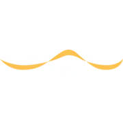 Dance-Tribe-Munich.de Favicon