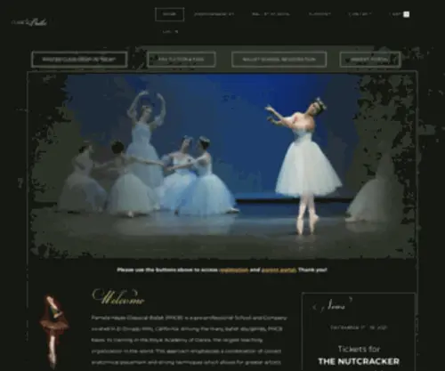 Danceballet.com(PAMELA HAYES CLASSICAL BALLET) Screenshot