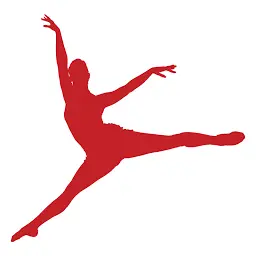 Dancewear.com.au Logo