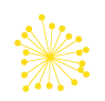 Dandeliondesign.ca Favicon