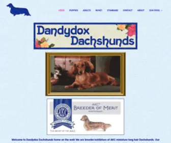 DandydoxDachshunds.com(AKC miniature dachshunds in california) Screenshot