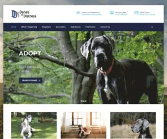 Danesindistress.com(Great Dane Adoption & Rescue) Screenshot