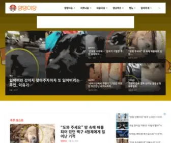 Dangdangee.com(댕댕이당) Screenshot