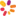 Dankkum.com Favicon