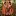 Dannygalieote.com Favicon