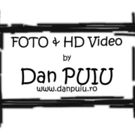 Danpuiu.ro Favicon