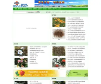 Dansjas.com(河南租房网) Screenshot