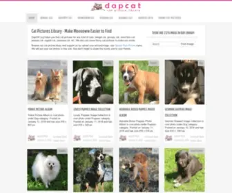 Dapcat.org(Cat Picture Library) Screenshot