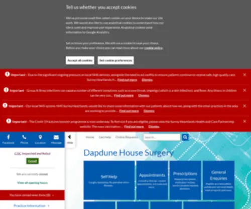 Dapdune.co.uk(Dapdune House Surgery) Screenshot