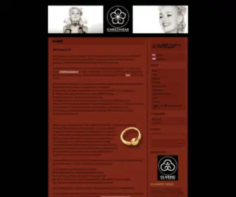 Dare2Wear.nl(The idea behind our shop) Screenshot