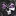 Darklabs.pro Favicon