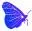 Dartnfly.ac Favicon