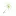 Dasselbe-IN-Gruen.de Favicon