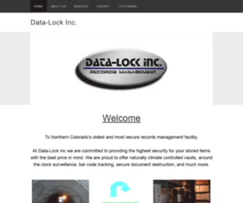 Data-Lockinc.com(Data-Lock Inc) Screenshot