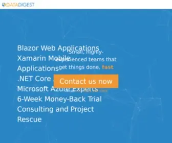 Datadigest.co.za(Your software technology partner) Screenshot