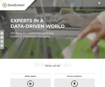 Dataexpert.hu(Experts in a data) Screenshot