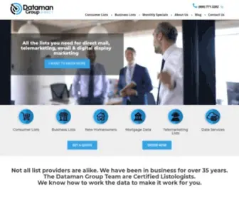 Datamangroup.com(Dataman Group) Screenshot