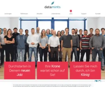 Datamints.com(Internetagentur in Penzberg) Screenshot