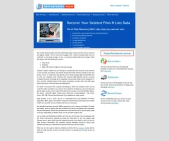 Datarecoverydelhi.com(Data Recovery Delhi) Screenshot