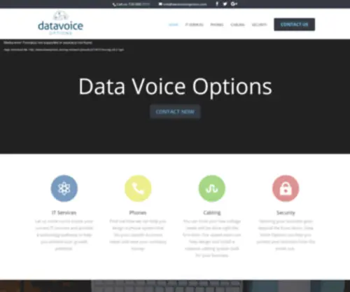 Datavoiceoptions.com(Denver's IT Company) Screenshot