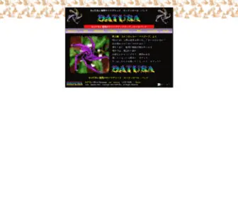 Datura.jp(ダチュラ) Screenshot