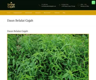 Daunbelalaigajah.com(Teh Daun Belalai Gajah Yang Berkhasiat dan Mustajab) Screenshot