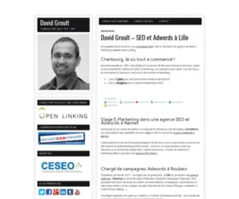 David-Groult.fr(Expert SEO & Google Ads (Adwords) à Lille) Screenshot