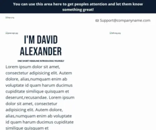 Davidalexanderblog.com(David Alexander Blog) Screenshot