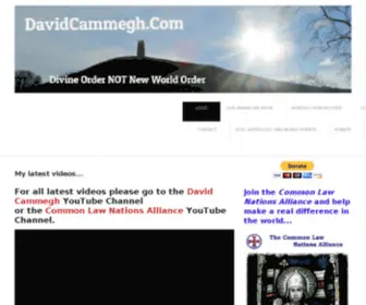 Davidcammegh.com(金8天园) Screenshot