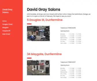 Davidgraysalons.com(David Gray Salons) Screenshot