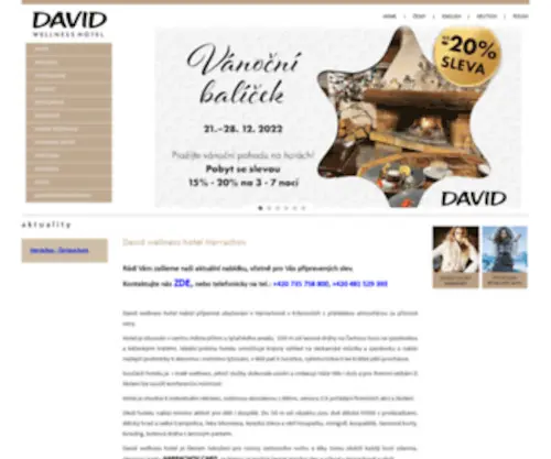 Davidhotel.cz(DAVID Wellness hotel) Screenshot