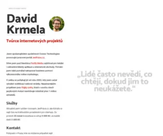 Davidkrmela.cz(David Krmela) Screenshot