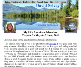 Davidselvey.com(My website) Screenshot