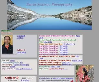 Davidsenesac.com(David Senesac photography) Screenshot
