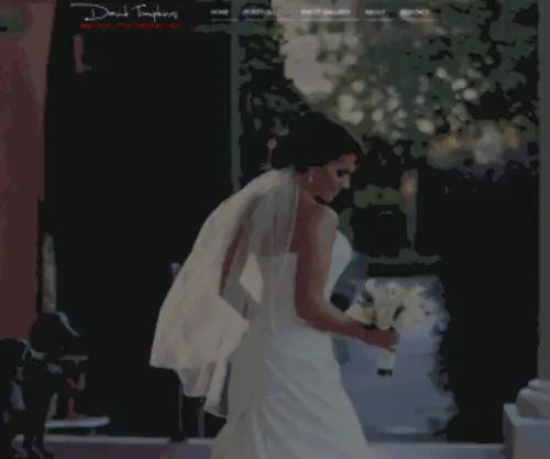 Davidtompkinsphotography.com(New Orleans Wedding Photographer) Screenshot