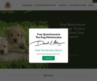 Davidutter.com(Dog Behaviorist) Screenshot